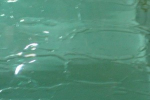 jade, Craqueleé ,Glas,